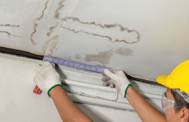 Reliable Mold Remediation contractor in Babson Park, MA by Water Damage Irwin